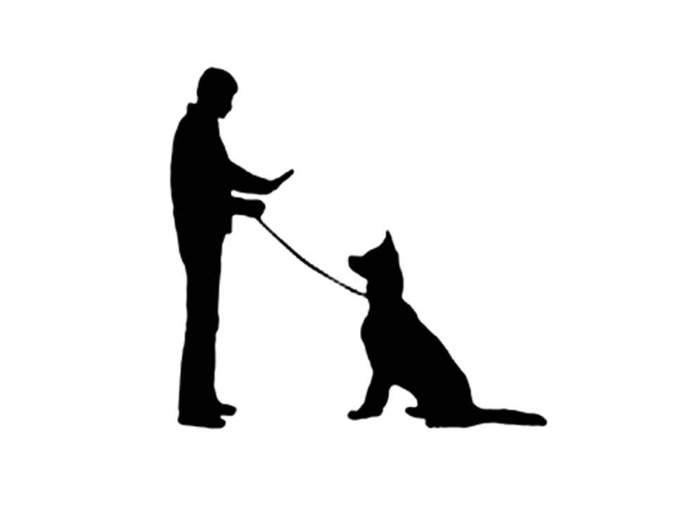 Dog On Leash Clip Art Free download on ClipArtMag