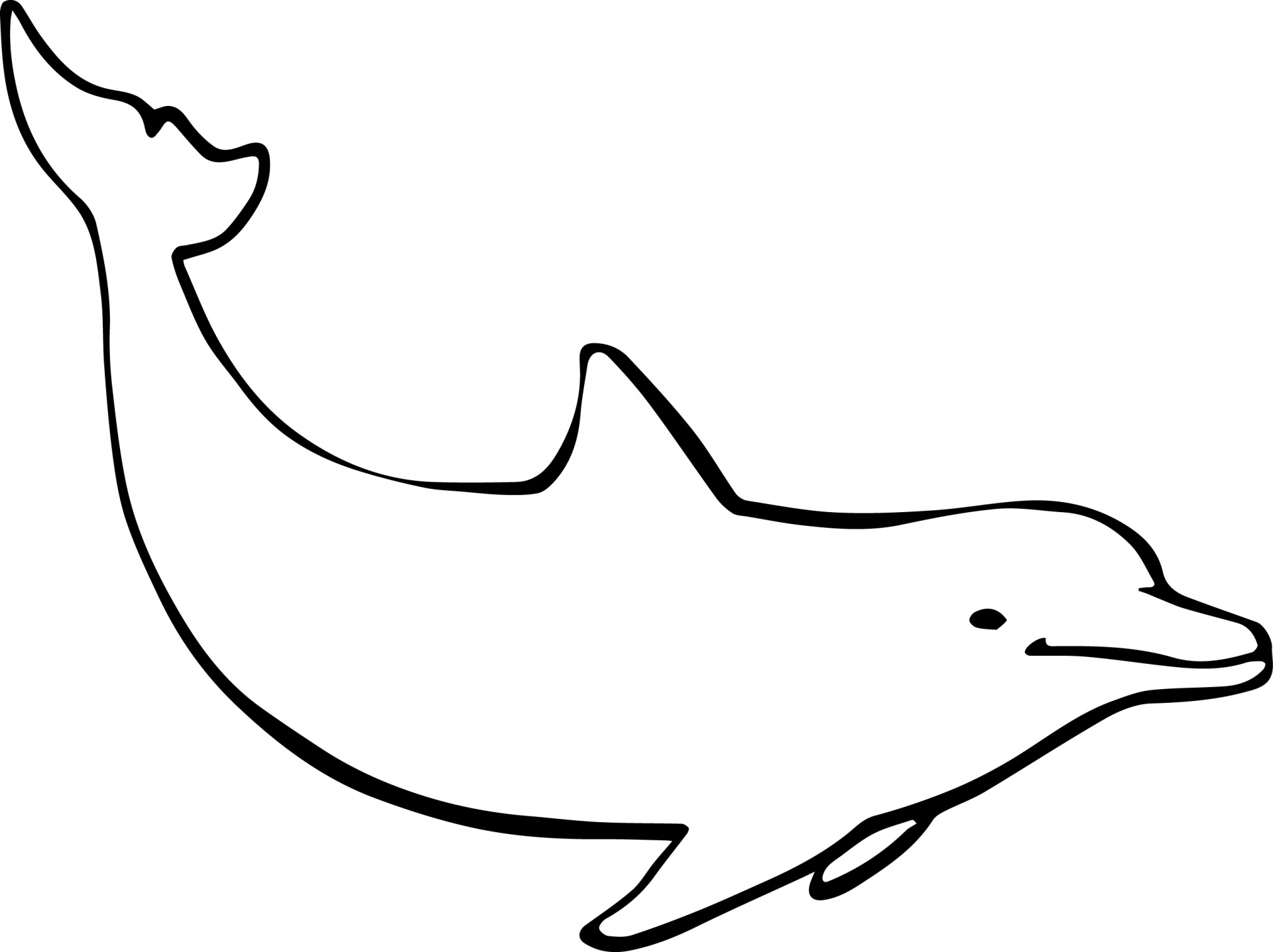 Dolphin Line Art Free download on ClipArtMag