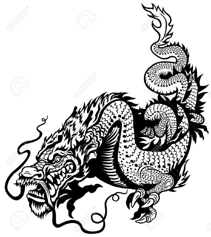 Chinese dragon vector clip illustrations Dragon Clipart Black And White | Free download on ClipArtMag
