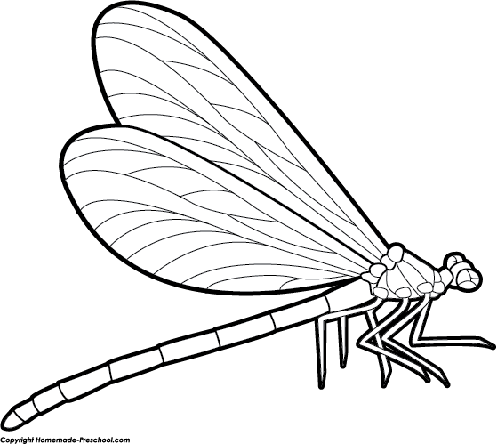 Dragonfly Clipart Black And White Free Download On Clipartmag