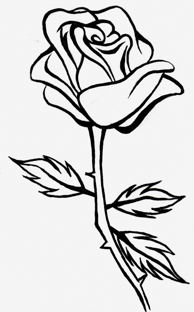 Drawing Of A Rose Free Download On Clipartmag
