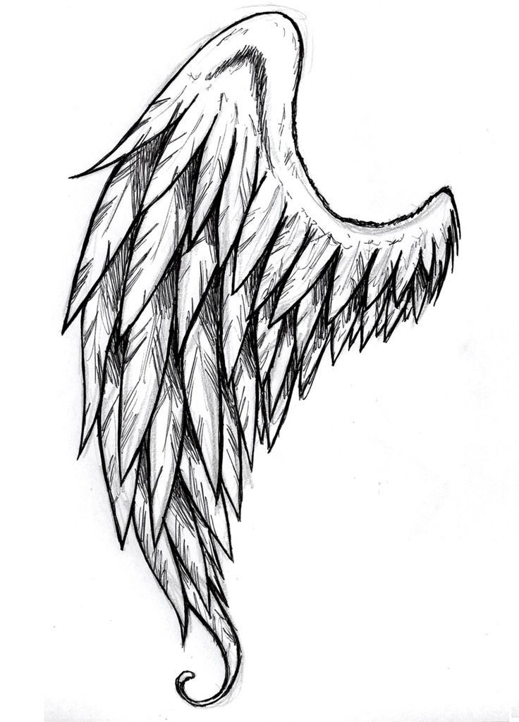 Wings Art Drawing At Jane Johns Blog