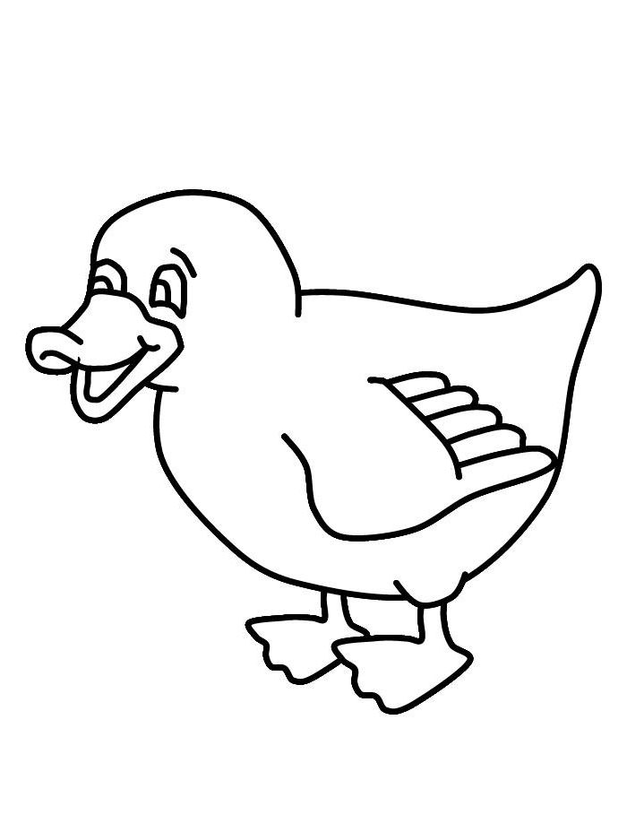 Duck Outline | Free download on ClipArtMag