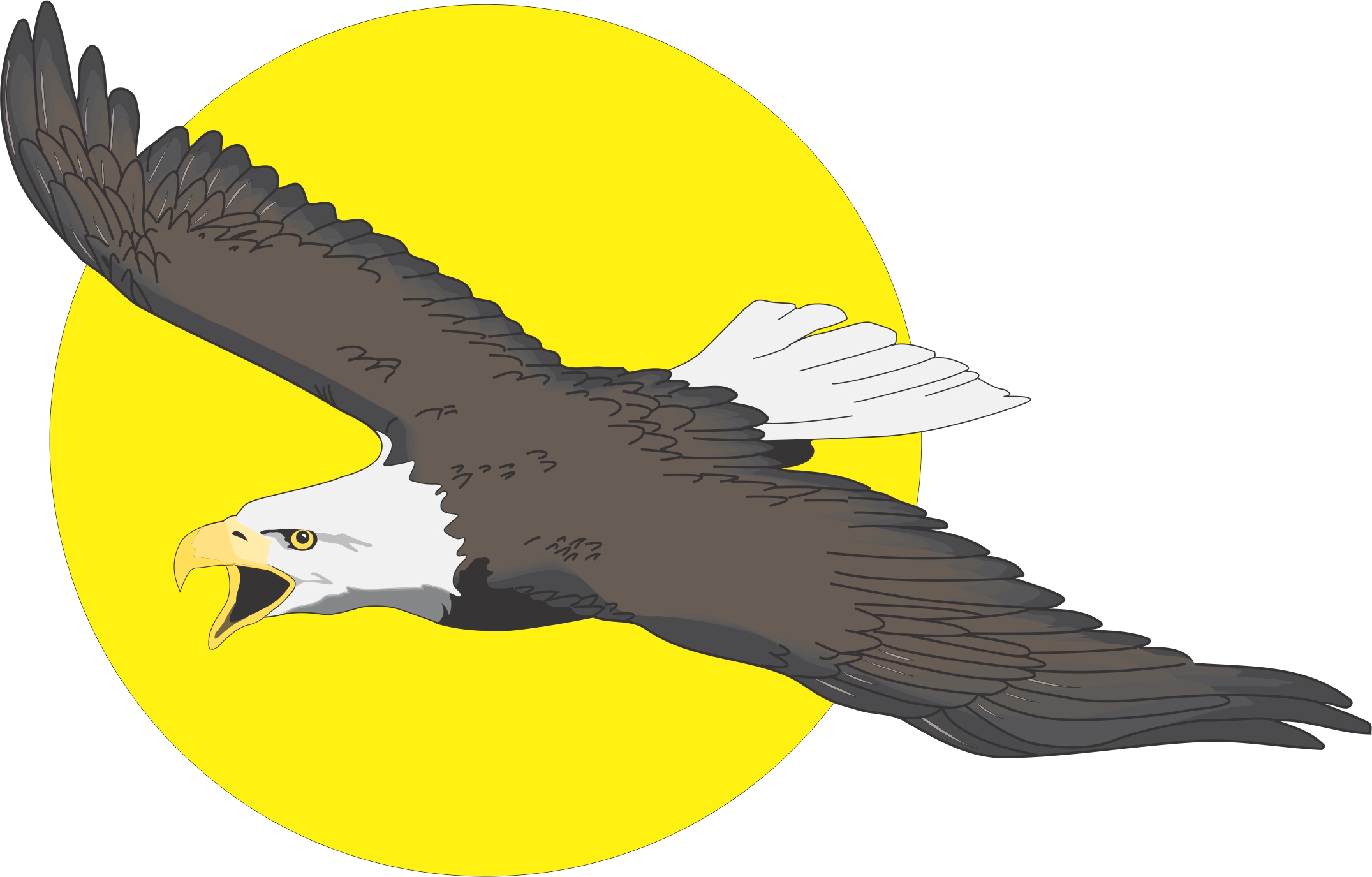 Eagles Clipart Free Download Free download on ClipArtMag