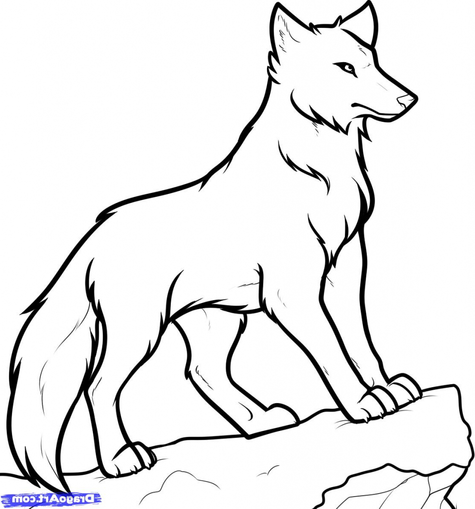 Wolf Drawing Outline