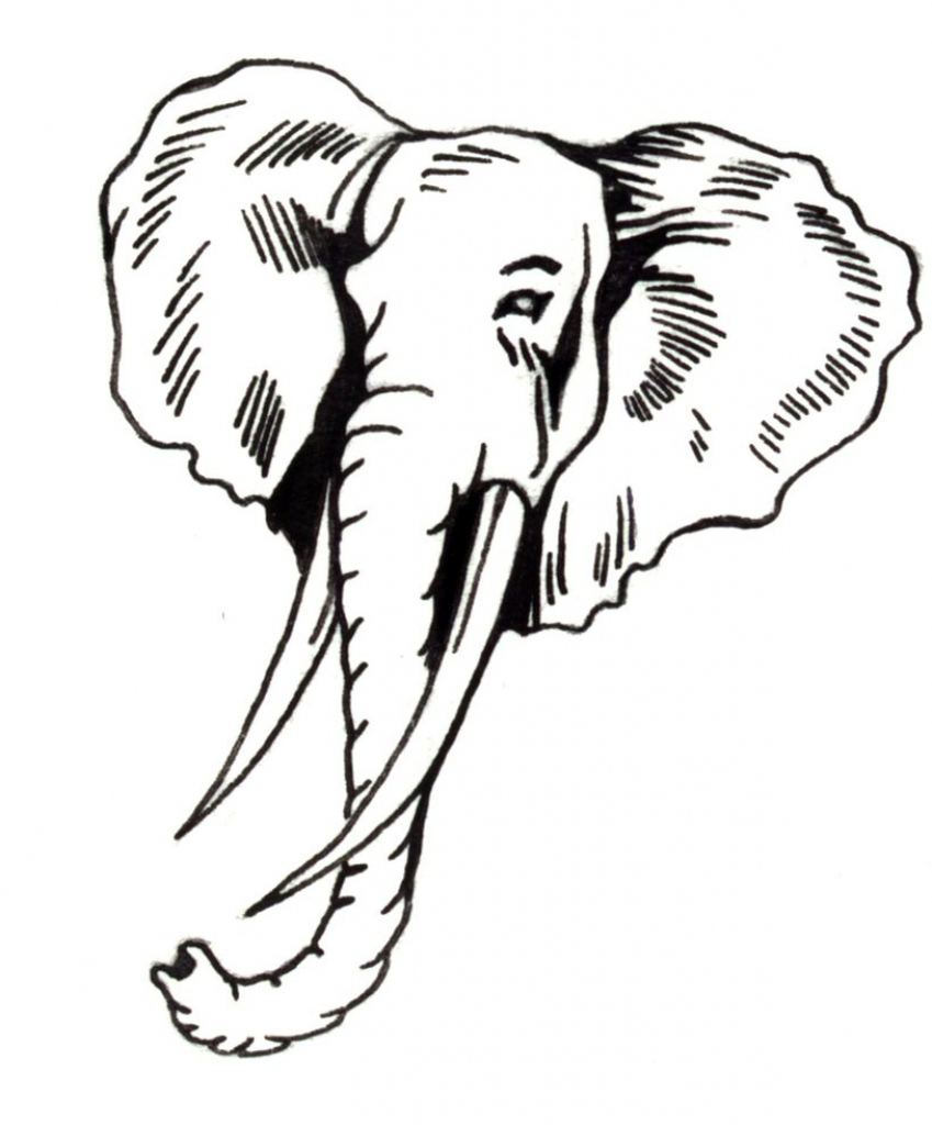 Elephant Drawing | Free download on ClipArtMag
