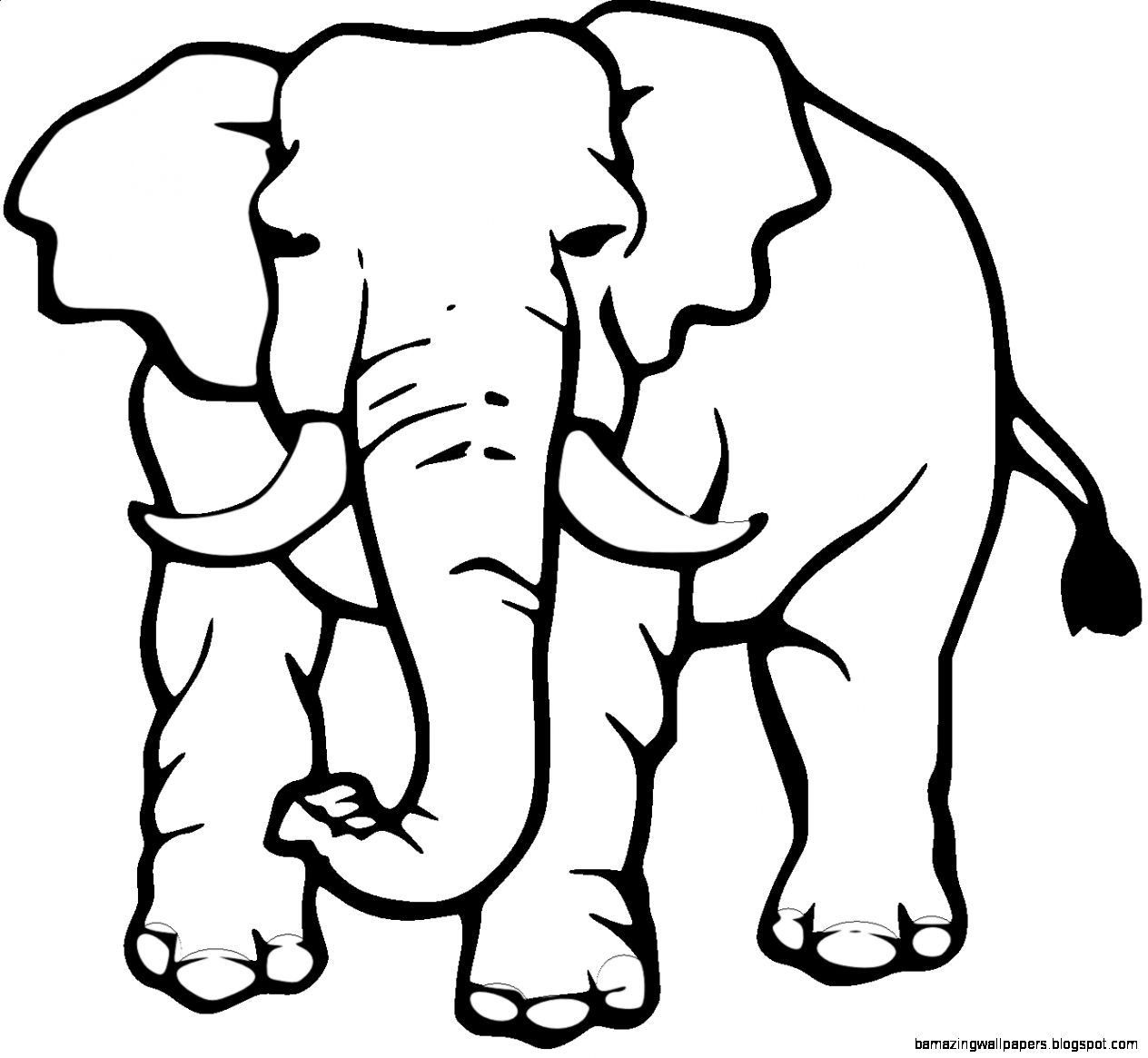 Elephant Drawings | Free download on ClipArtMag