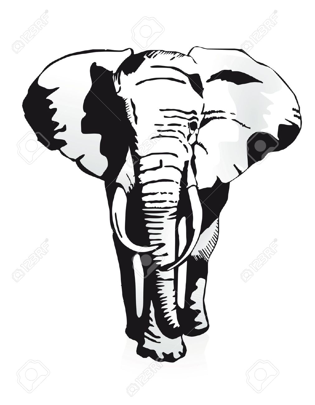 Elephant Images Black And White | Free download on ClipArtMag