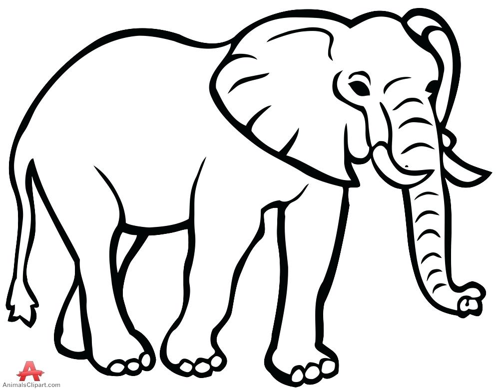 Elephant Outline Free Download On ClipArtMag