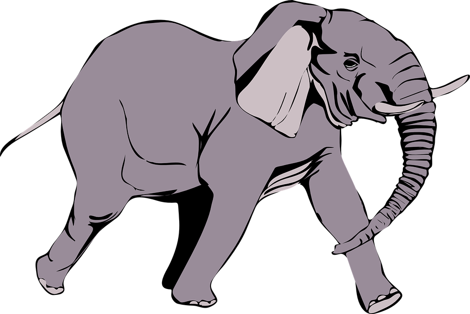 Elephant Trunk Cartoon | Free download on ClipArtMag