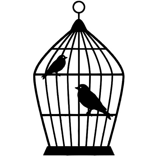 15+ Beautiful Caged Bird Drawing Images