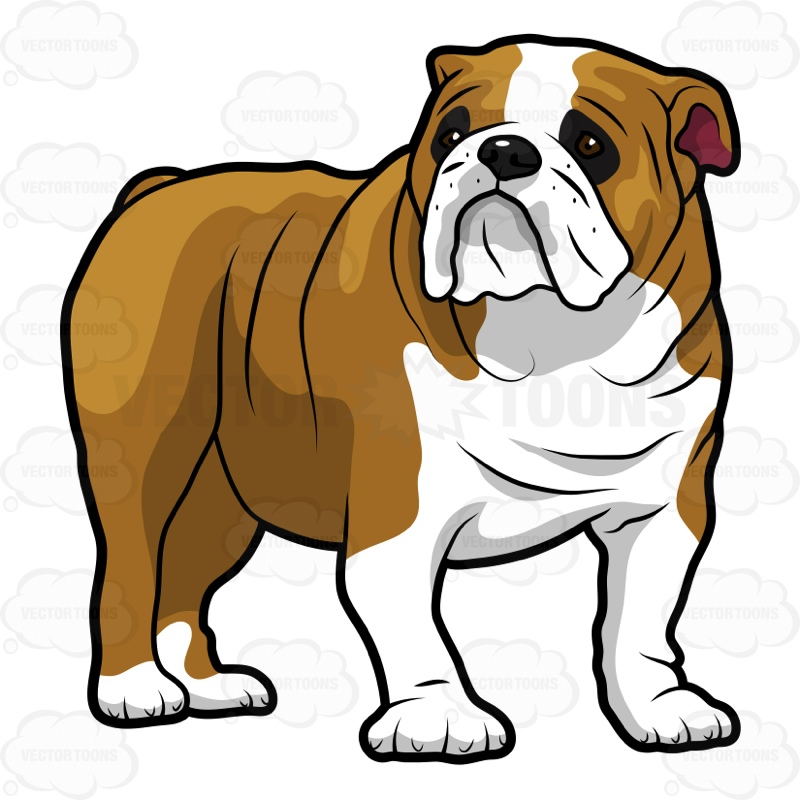English Bulldog Clipart Free download on ClipArtMag