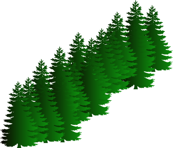 Evergreen Tree Images Free download on ClipArtMag