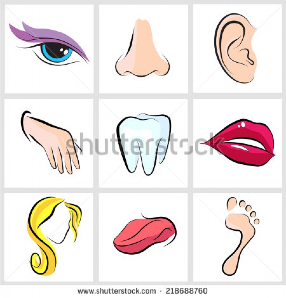 eyes and ears clipart