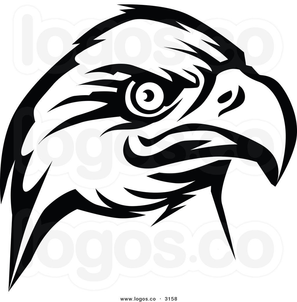 black and white falcon