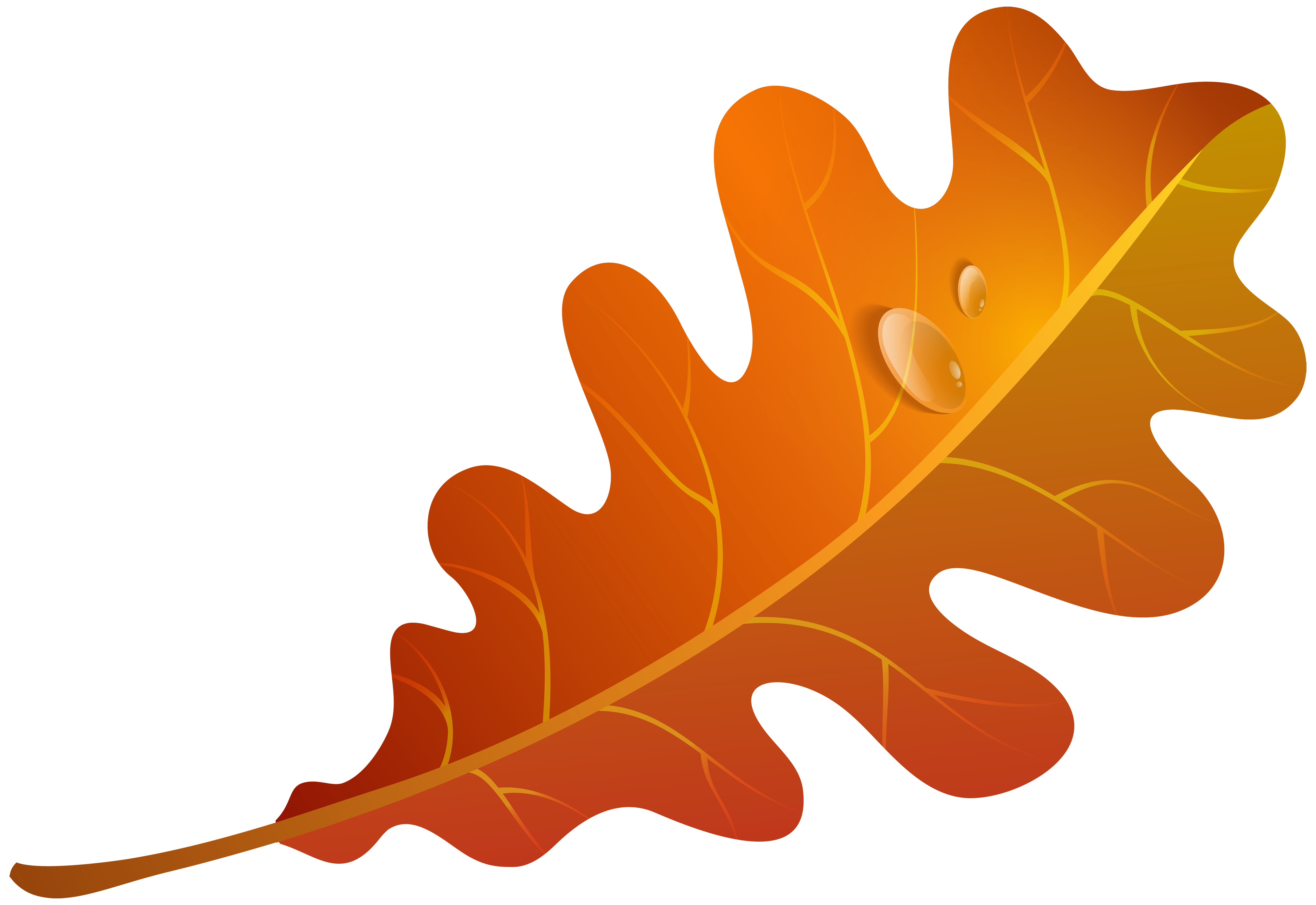 Fall Leaves Fall Leaf Clipart No Background Free Clipart Images Sexiz Pix