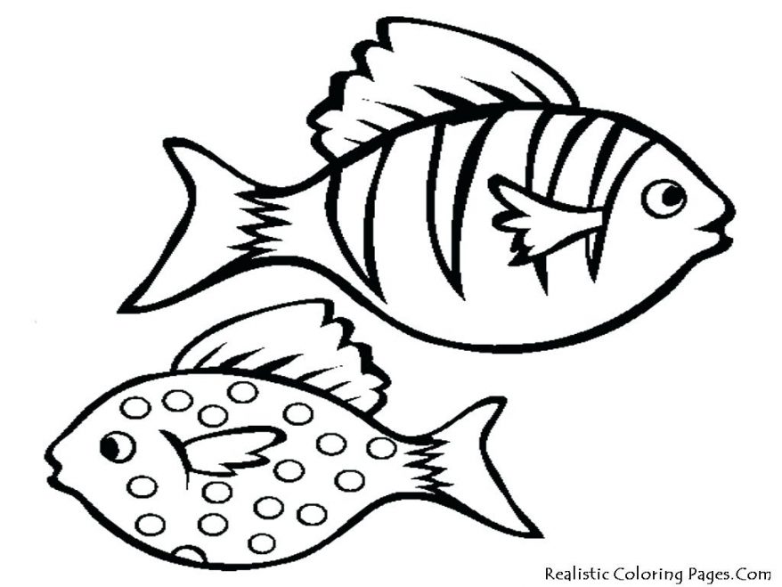Fish Drawing Outline Free download on ClipArtMag