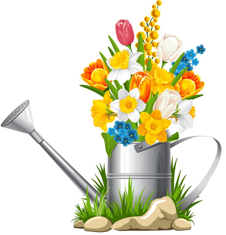 20 Bouquet Clipart Background Alade