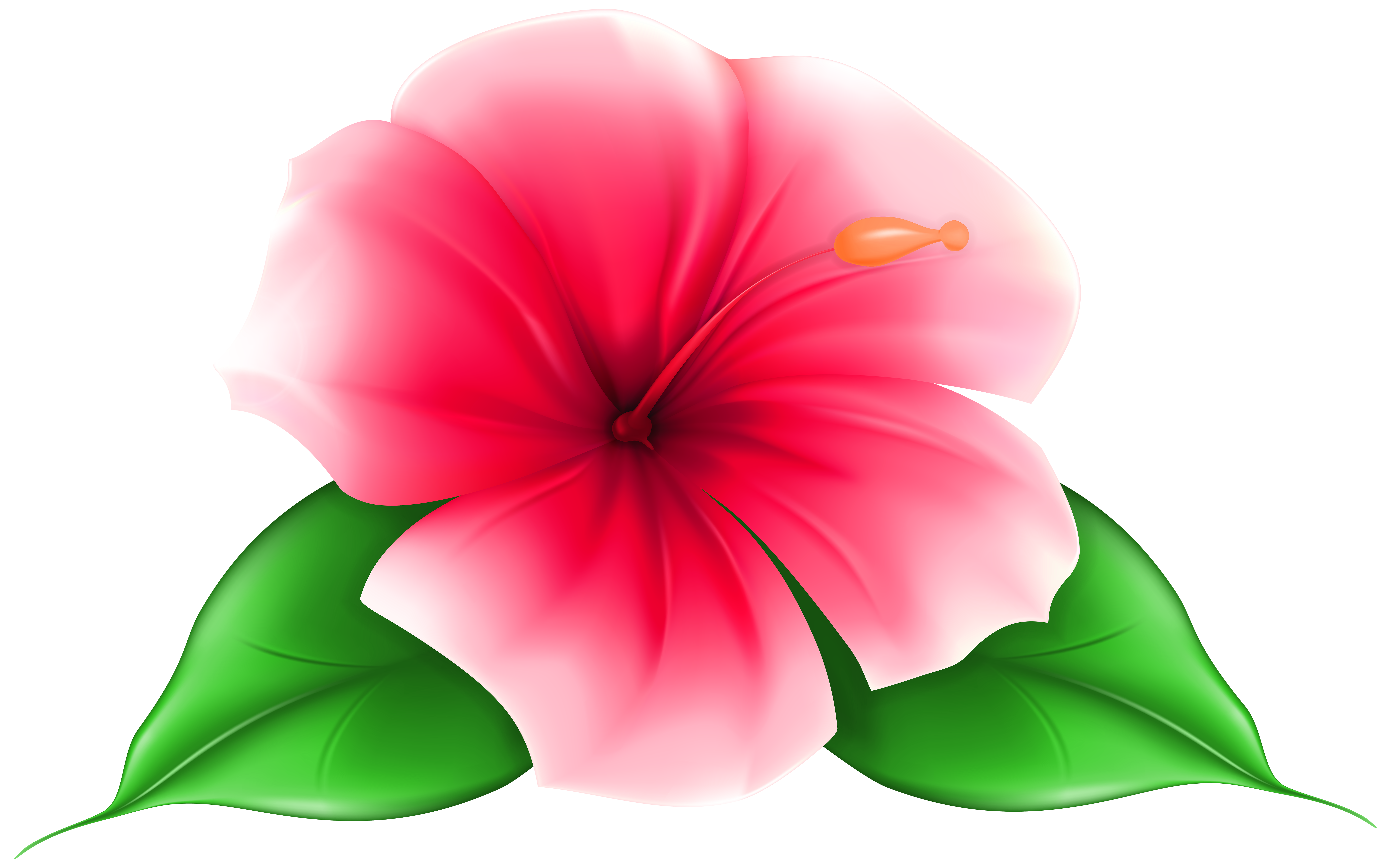 Flower Clipart Png | Free download on ClipArtMag