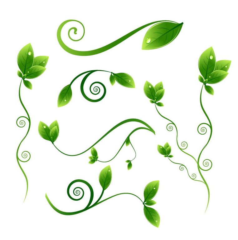 Flower Leaves Clipart | Free download on ClipArtMag