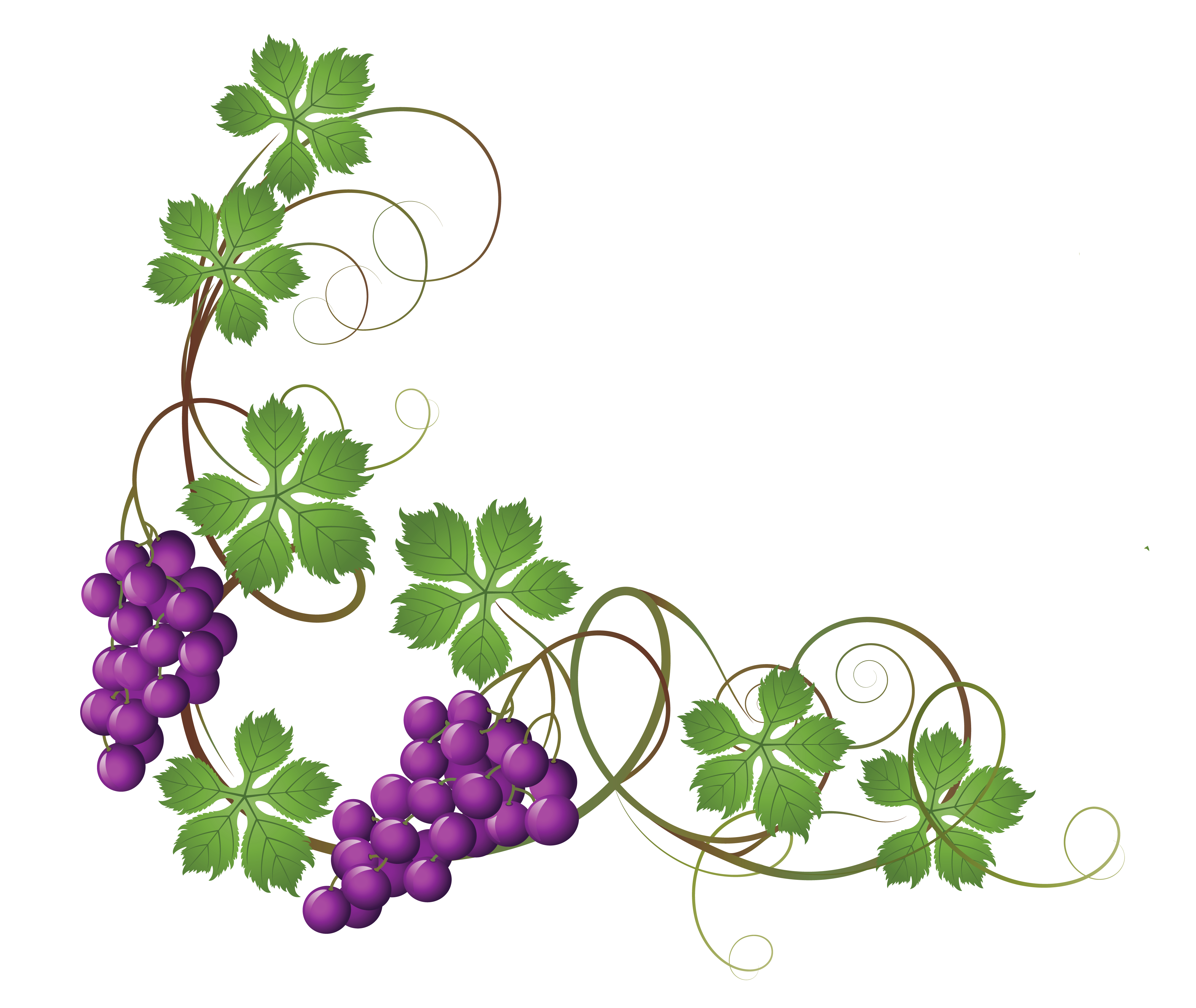 Flower Vines Clipart | Free download on ClipArtMag