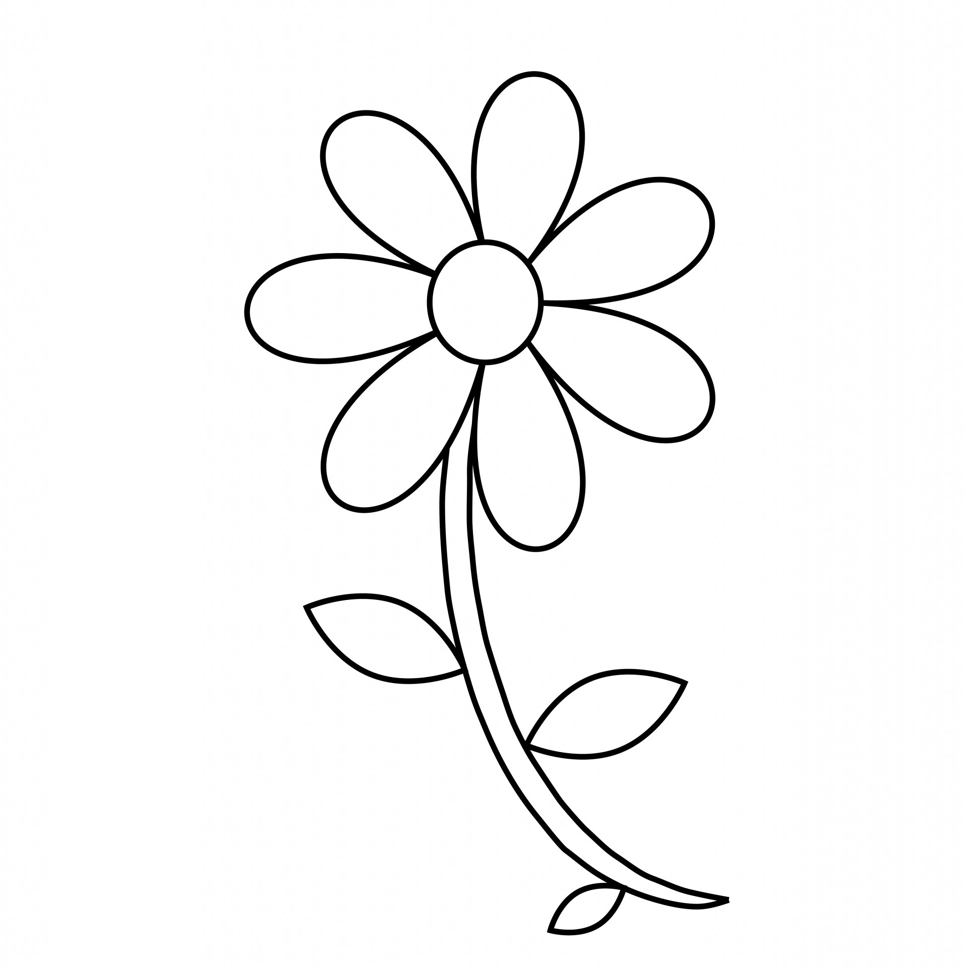 Flowers Line Drawing Free download on ClipArtMag