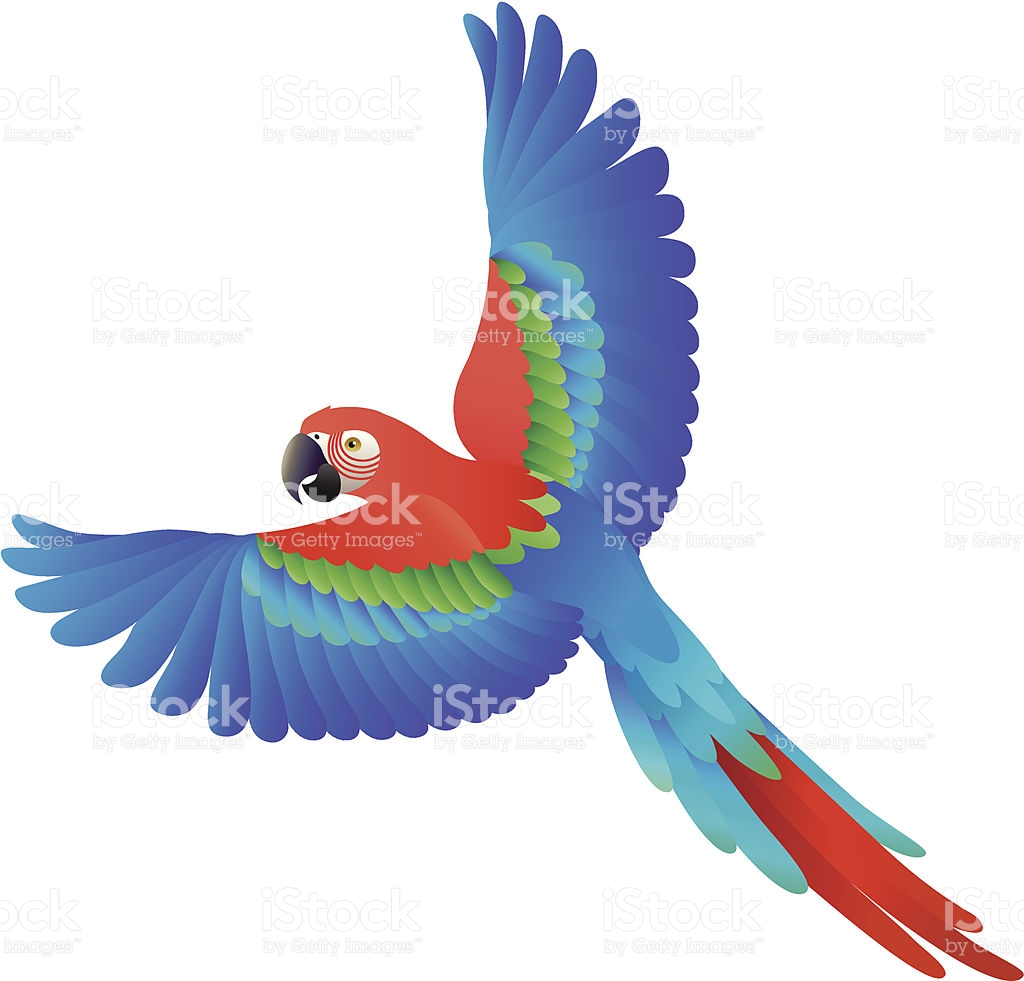 Fly Parrot | Free download on ClipArtMag