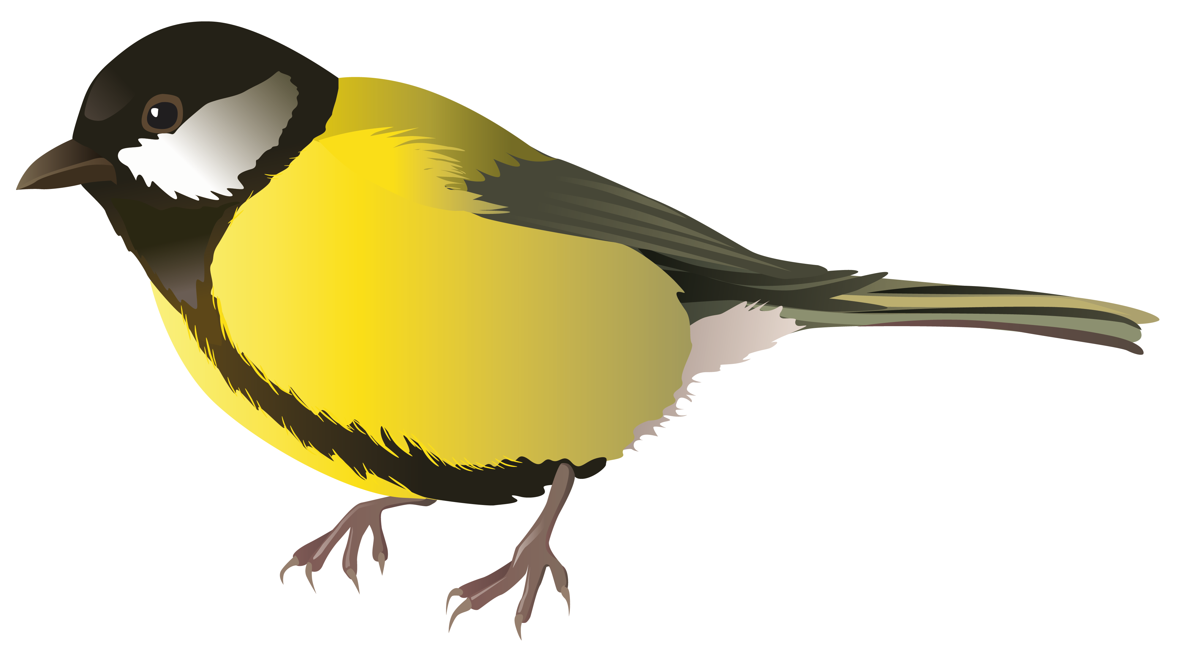 Flying Bird Png Free Download On Clipartmag