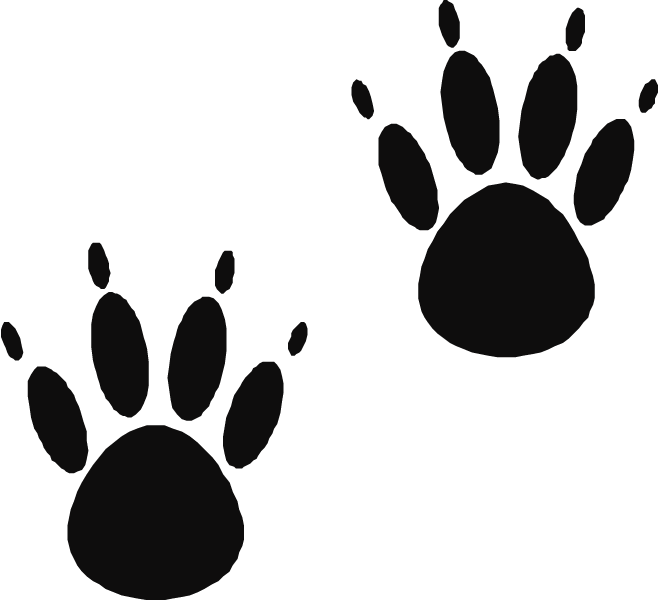 Footprint Template Clipart Free Download On Clipartmag