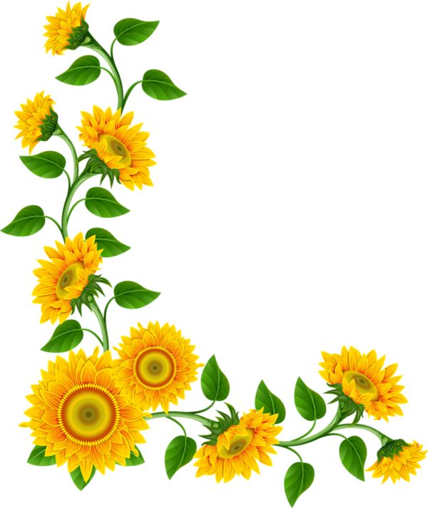 Free Flower Border Clipart | Free download on ClipArtMag