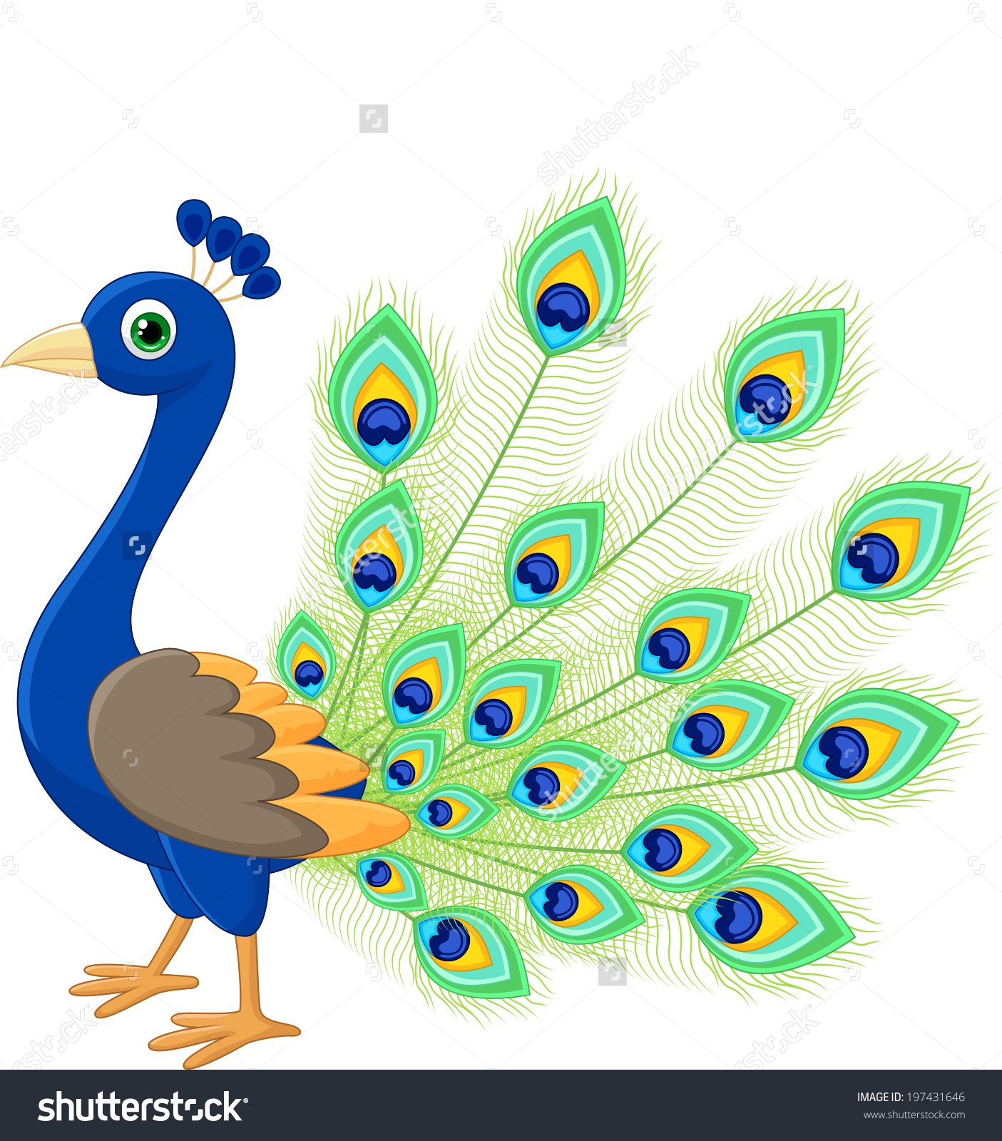 Peacock Clip Art
 Free Peacock Clipart