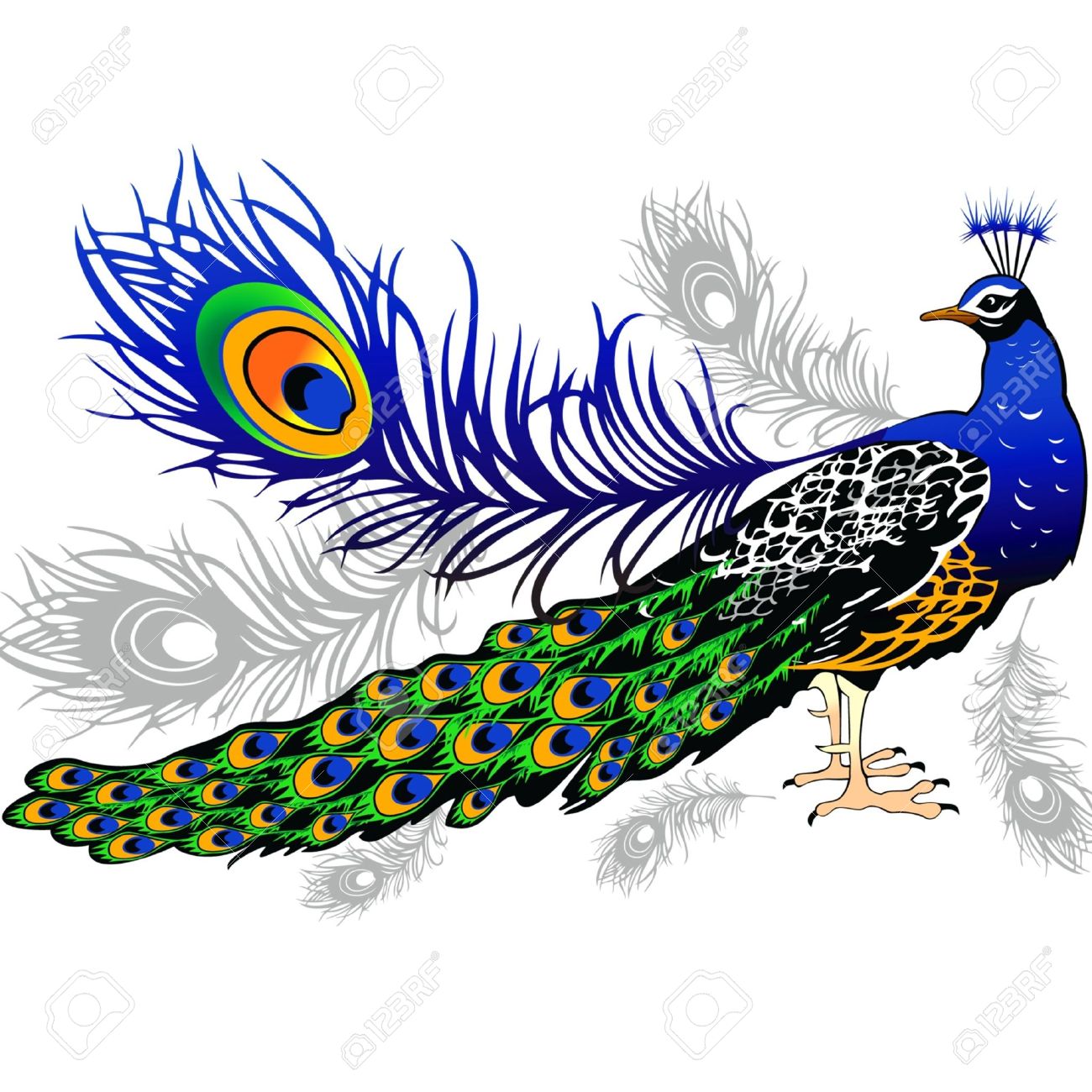 Free Peacock Clipart | Free download on ClipArtMag