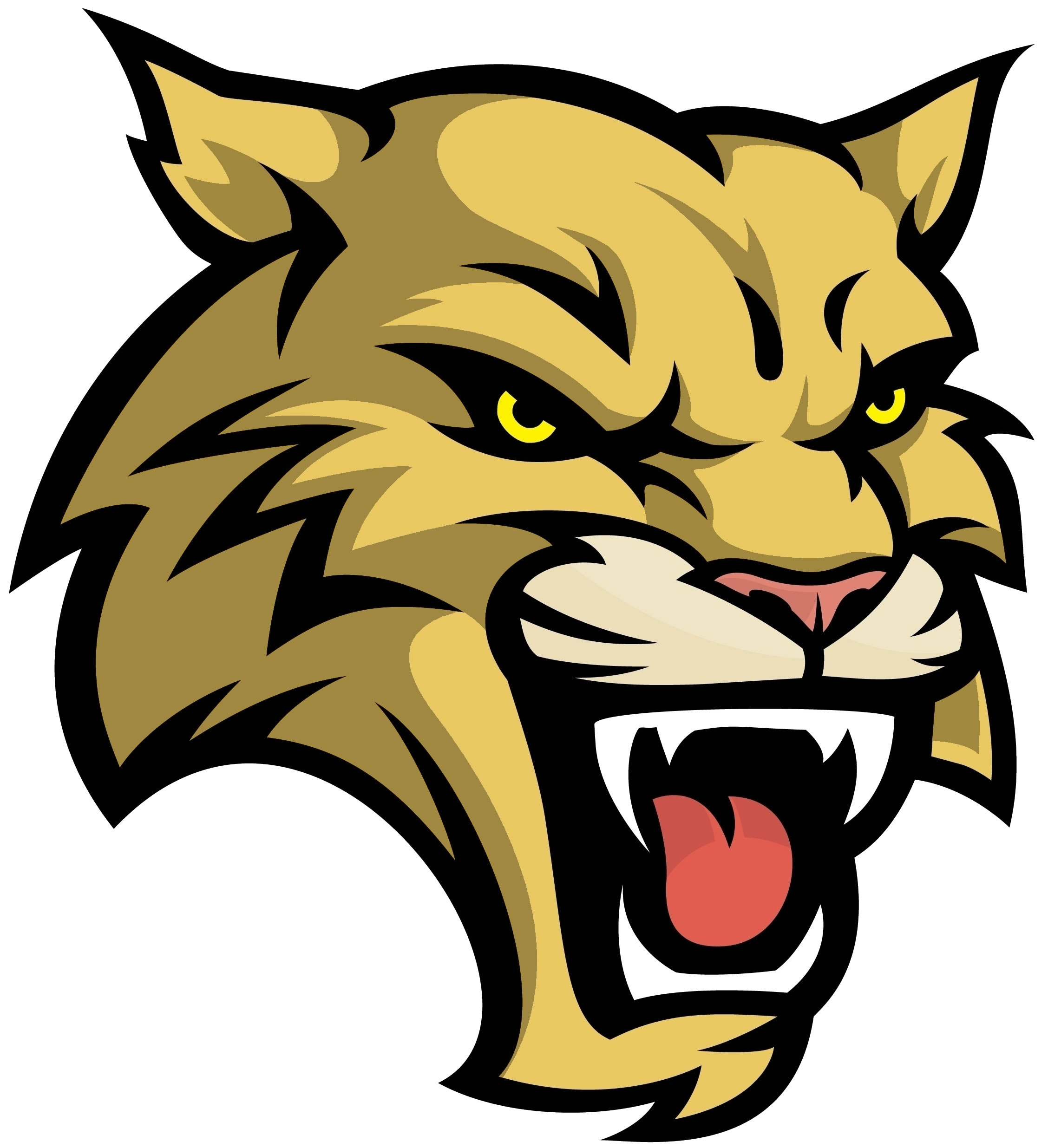 Free Wildcat Clipart | Free download on ClipArtMag