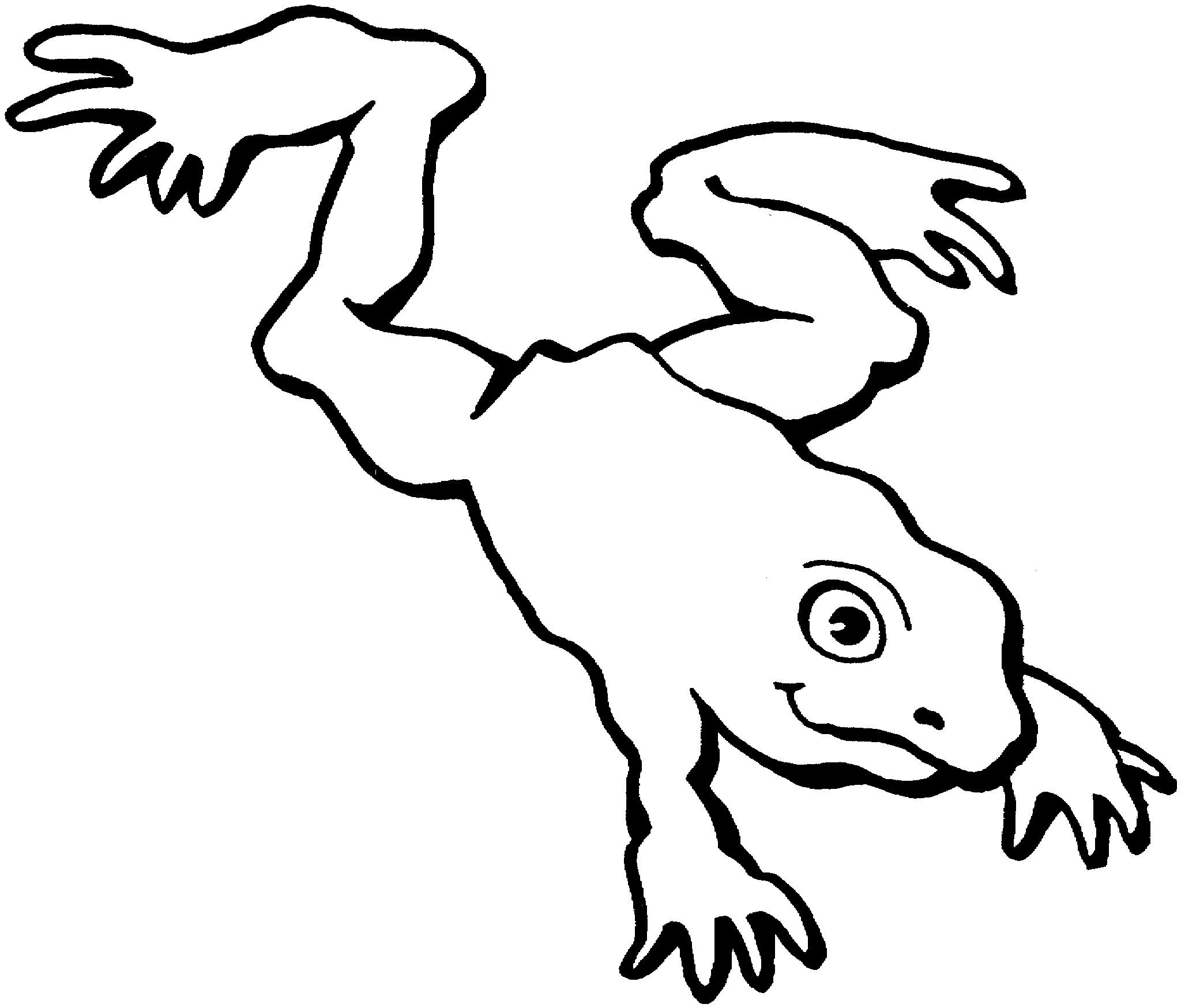 frog jumping cliparts