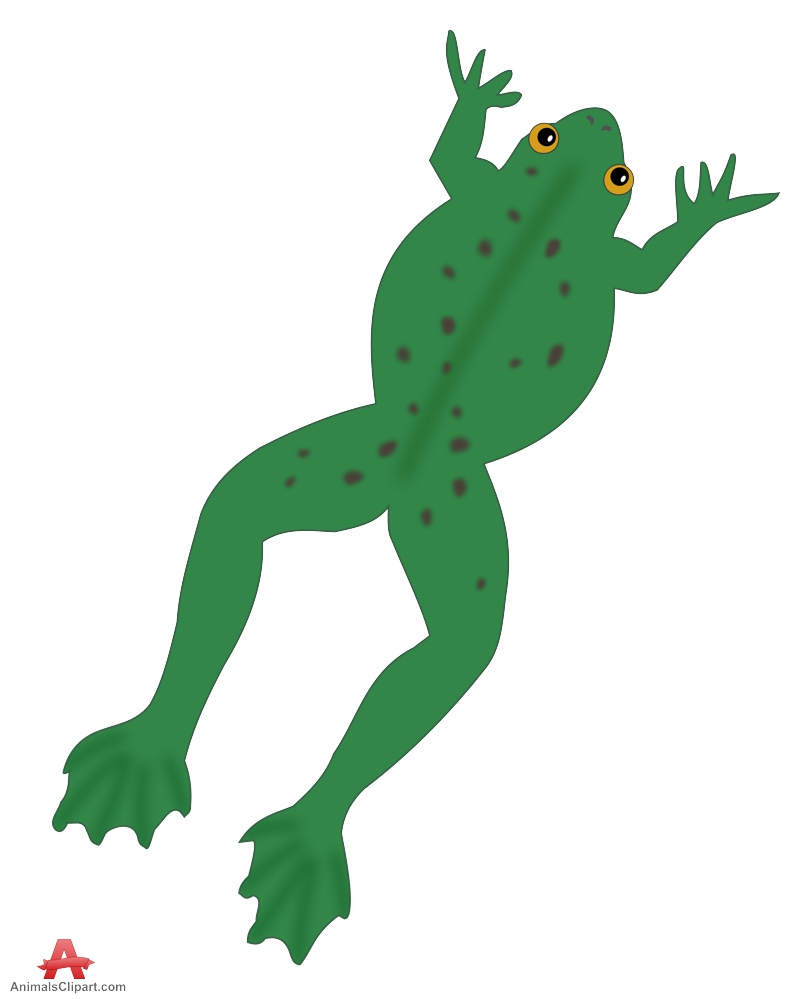 frog jumping cliparts