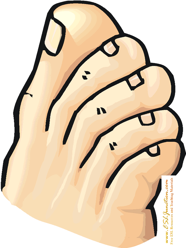 600x800 feet and toes clipart