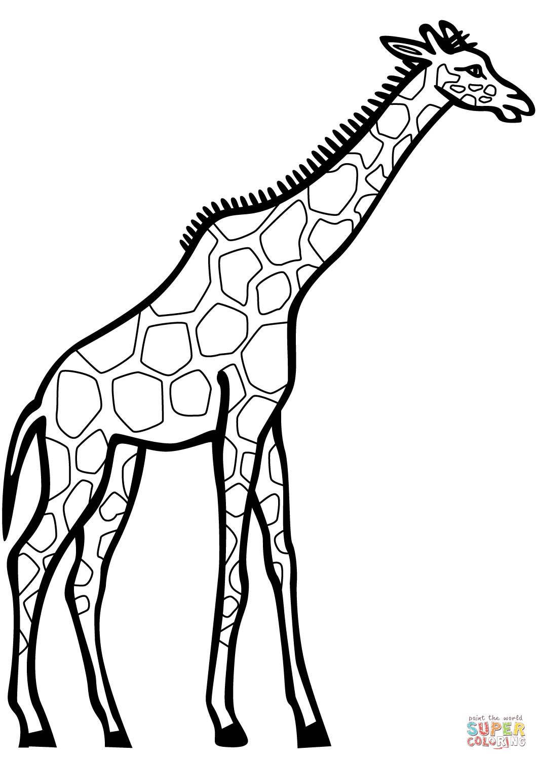 Giraffe Line Drawing | Free download on ClipArtMag