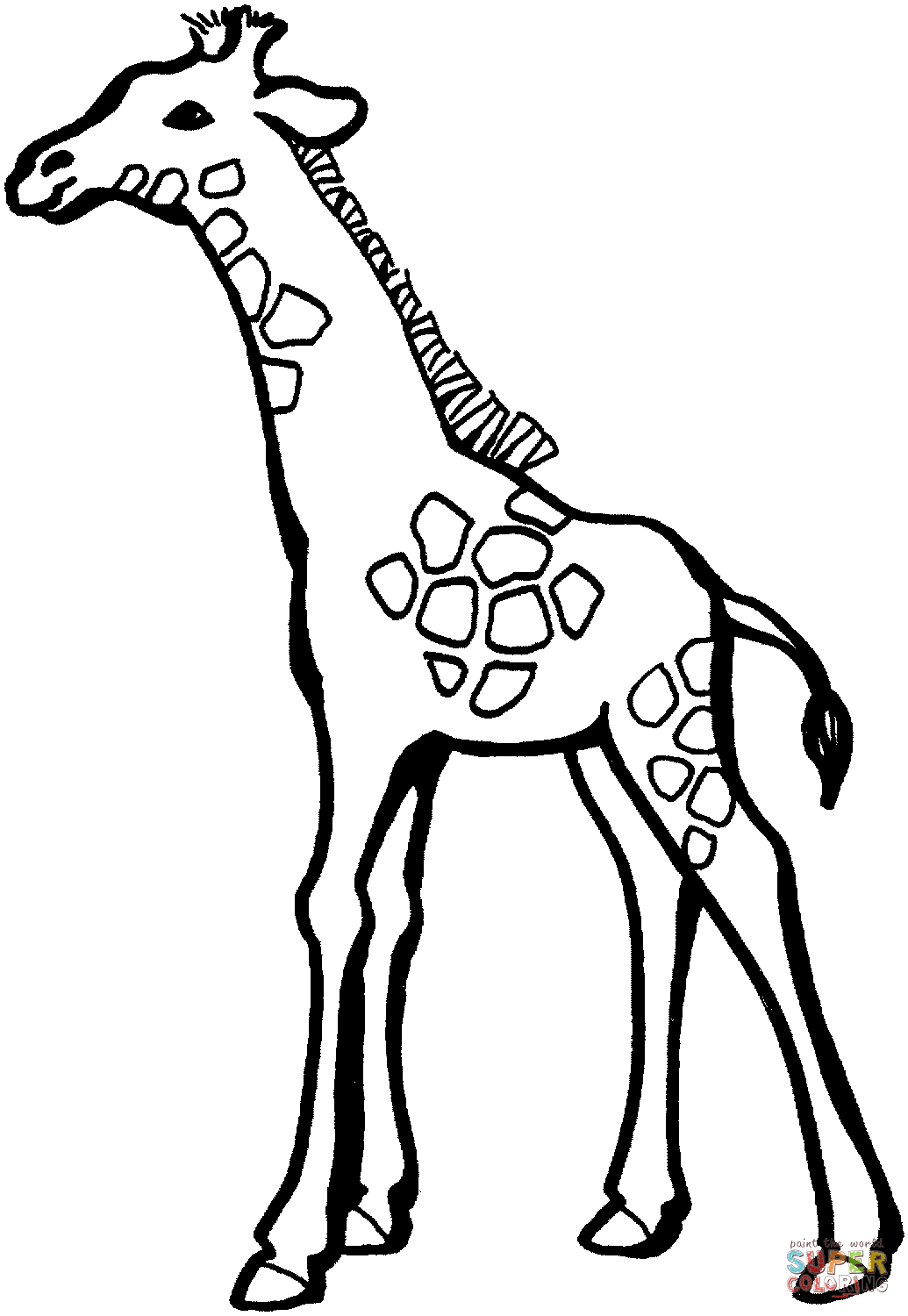 Giraffe Line Drawing | Free download on ClipArtMag