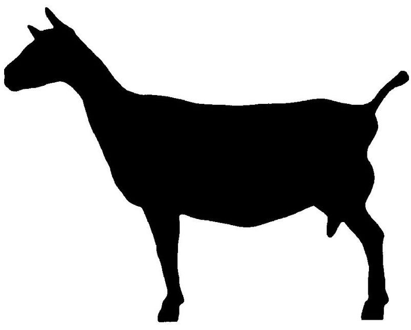 goat-graphics-free-download-on-clipartmag