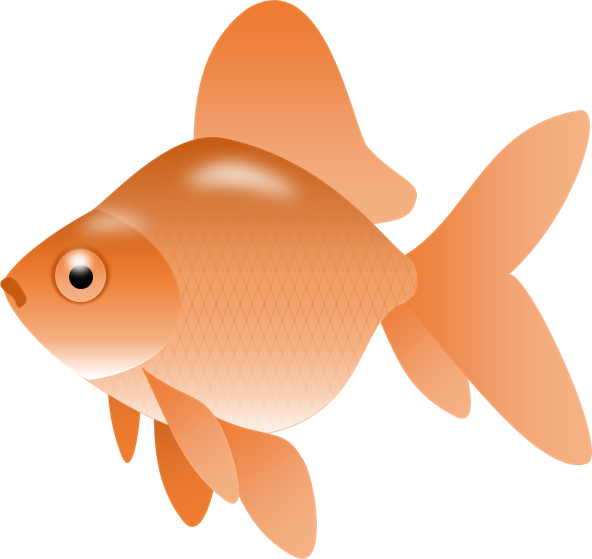 Gold Fish Clipart | Free download on ClipArtMag