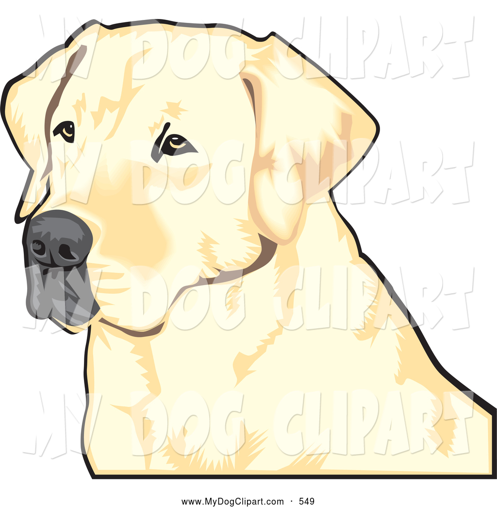 Collection of Labrador clipart | Free download best Labrador clipart on