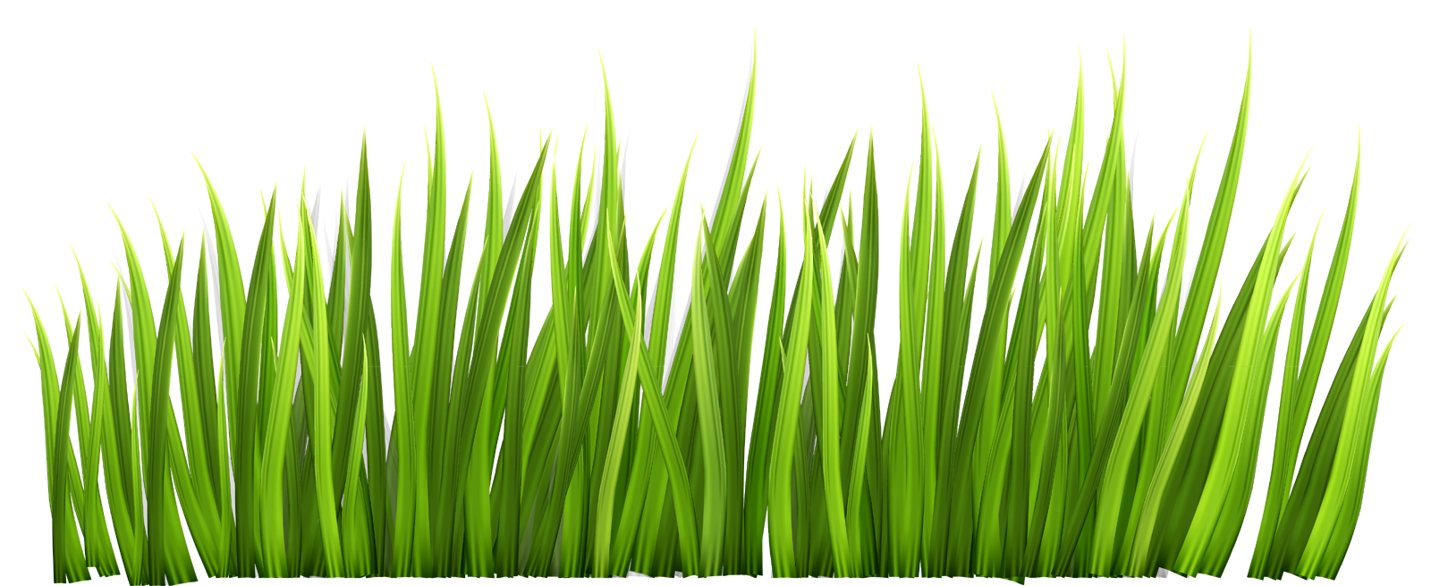 Grass Background Clipart | Free download on ClipArtMag