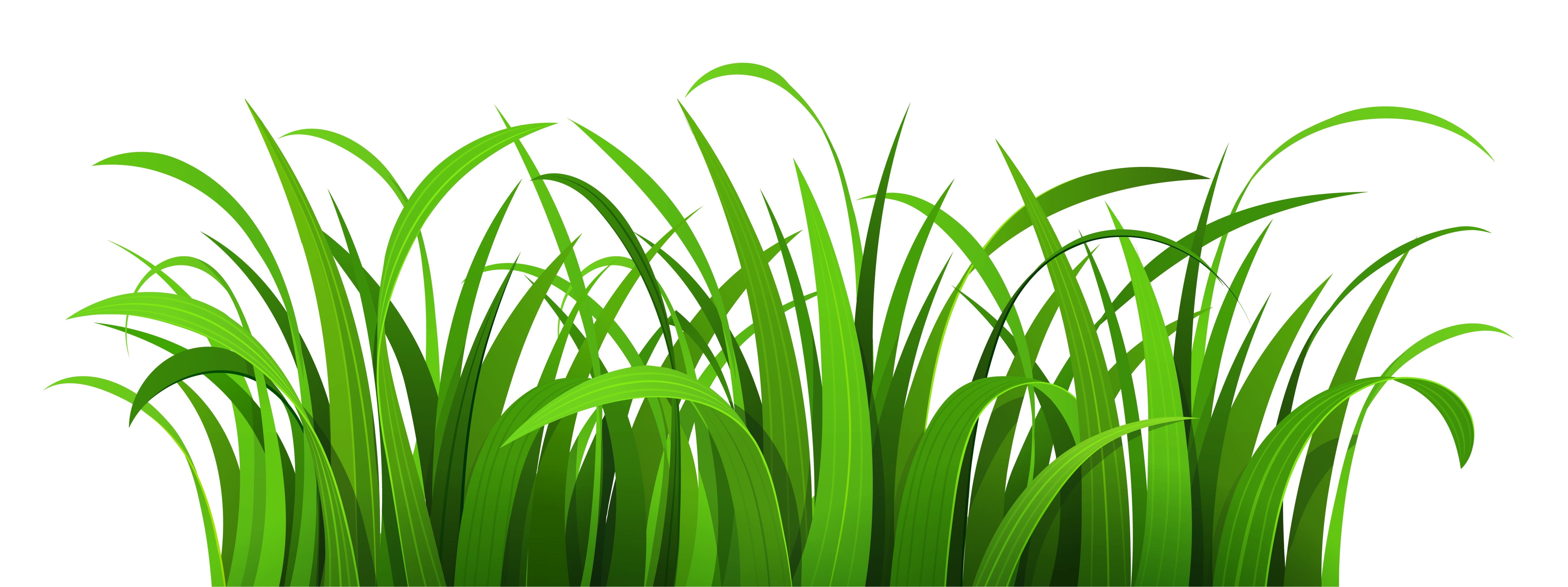 grass-outline-free-download-on-clipartmag
