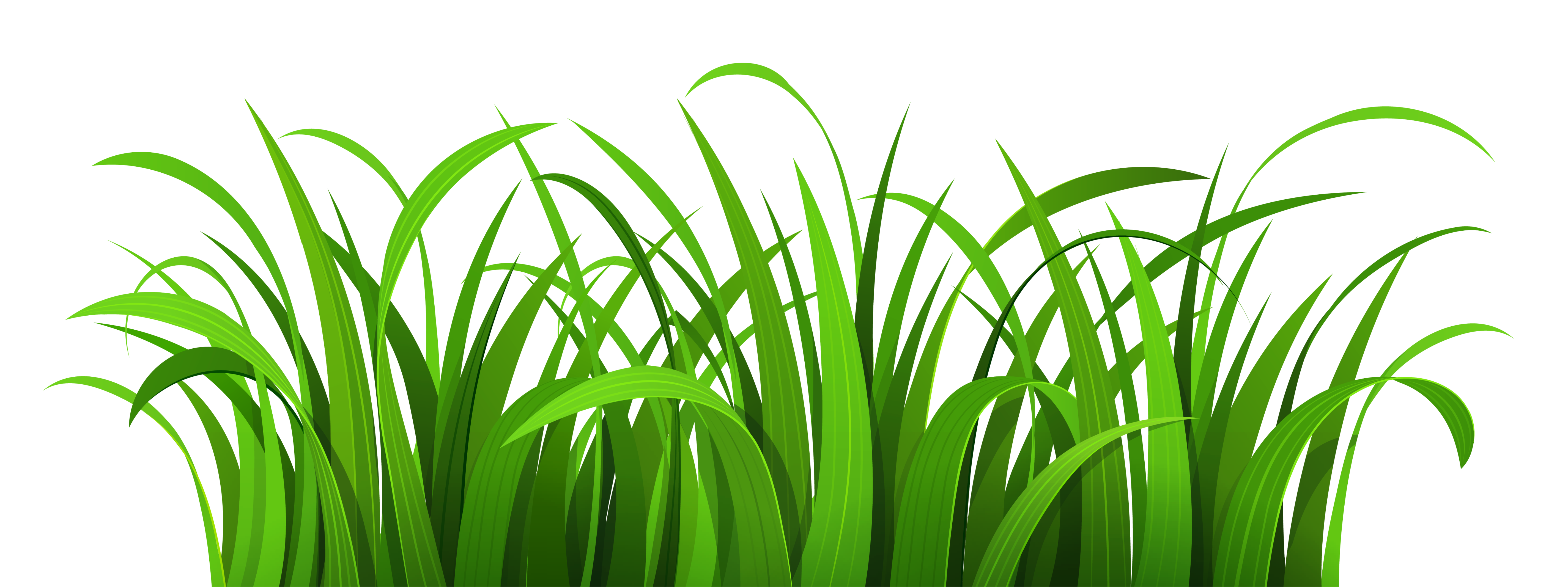 Grass Outline Free Download On ClipArtMag