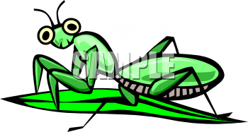Grasshopper Clipart Free | Free download on ClipArtMag