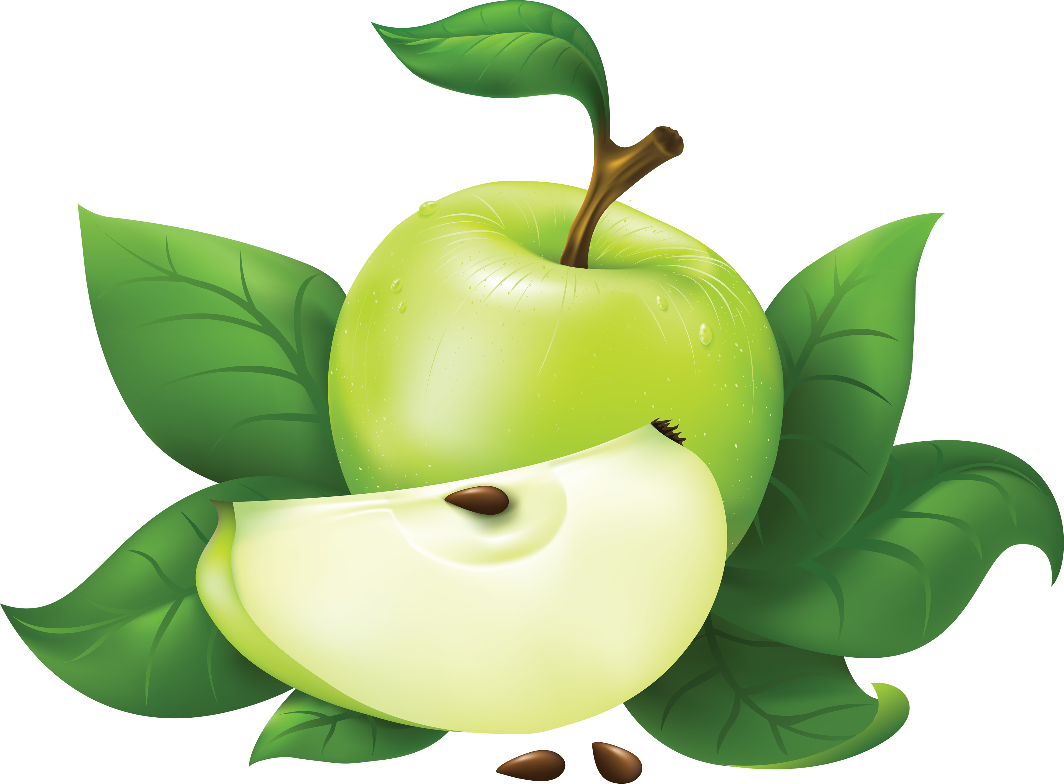 green-apple-clipart-free-download-on-clipartmag