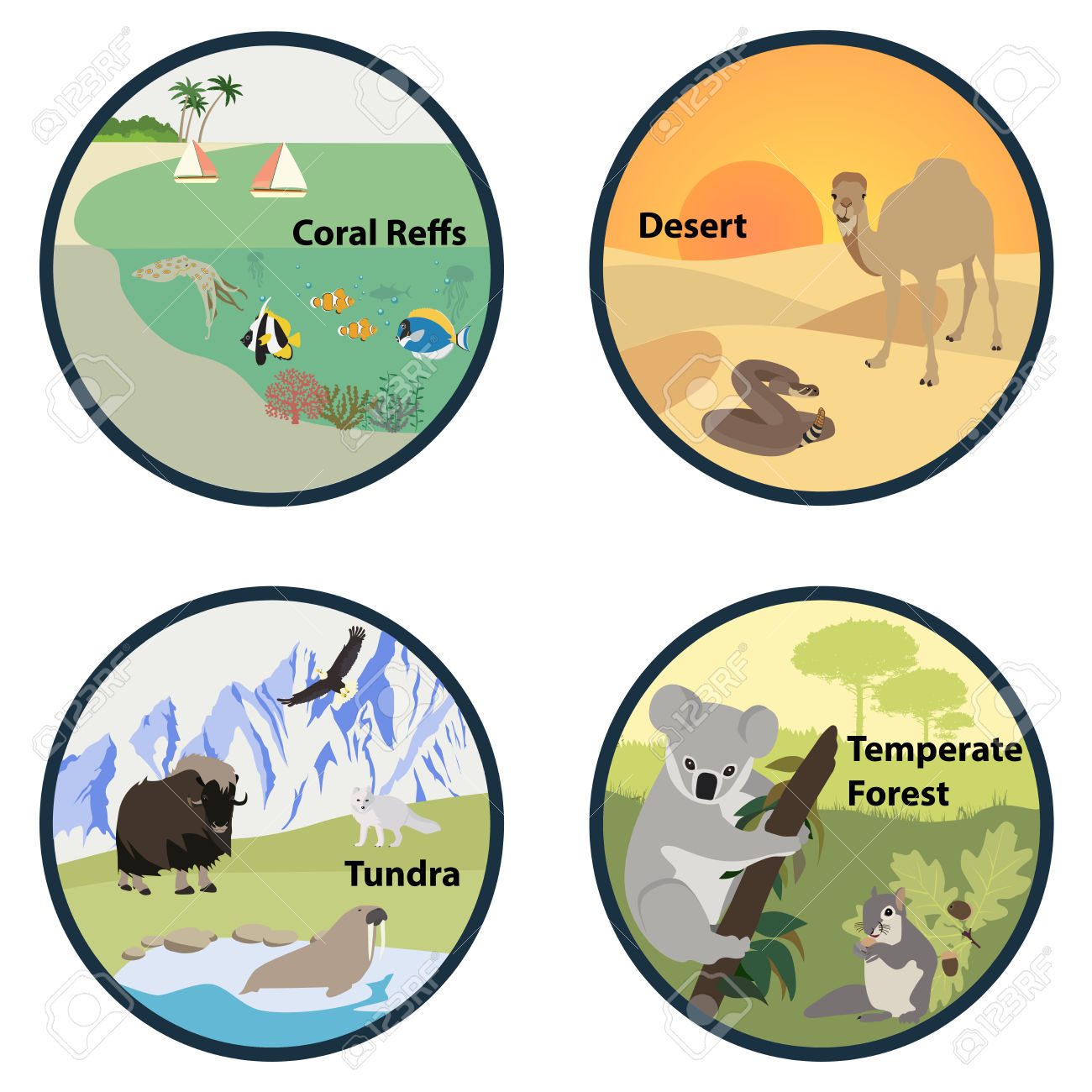 Collection of Habitat clipart | Free download best Habitat clipart on