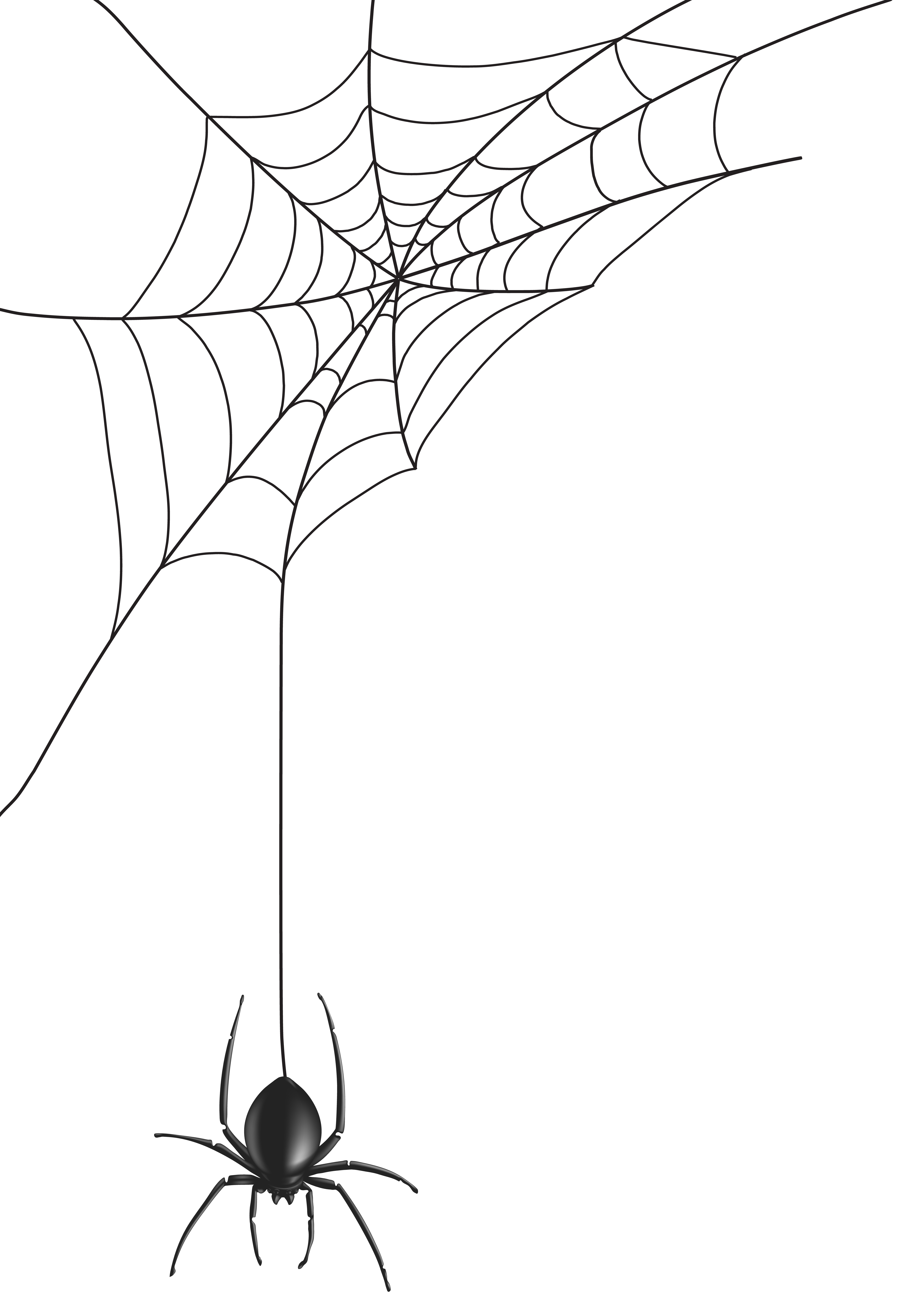 Halloween Spider Web Clipart | Free download on ClipArtMag