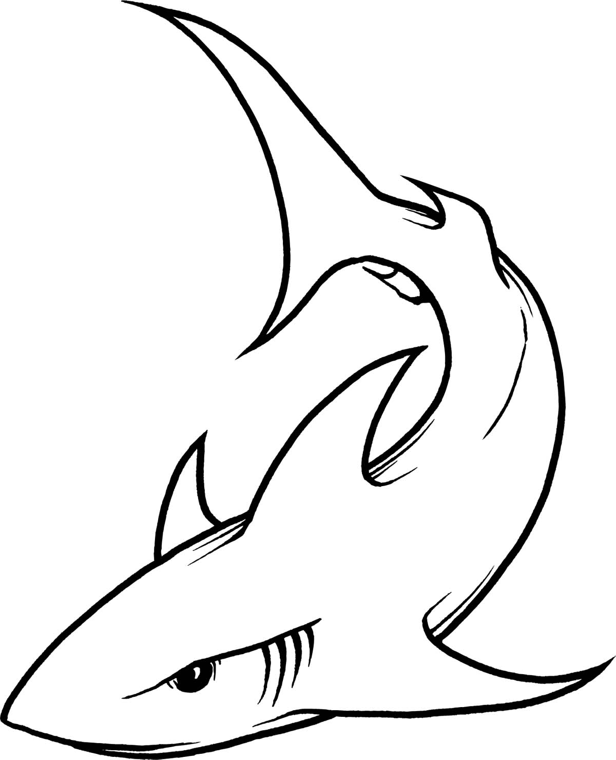 hammerhead-shark-outline-free-download-on-clipartmag