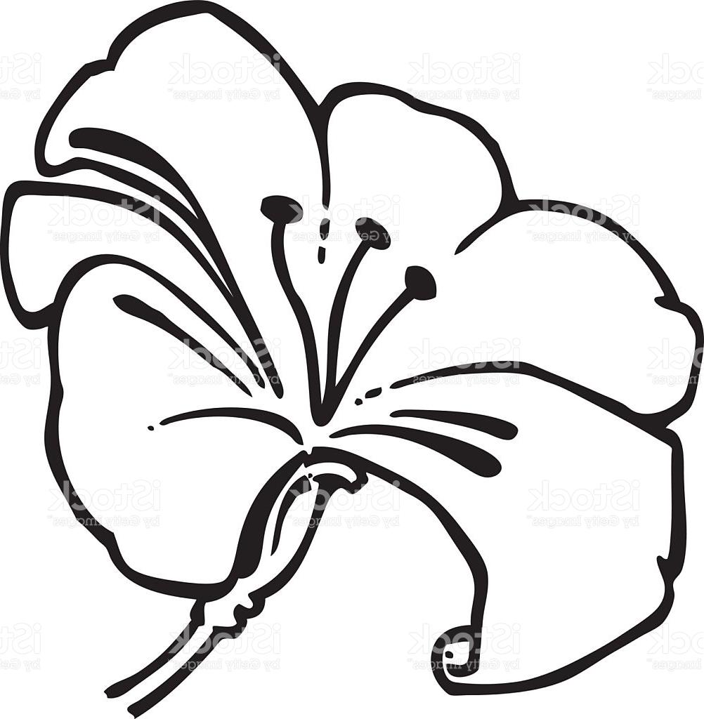 Hawaiian Flower Clipart Black And White Free download on